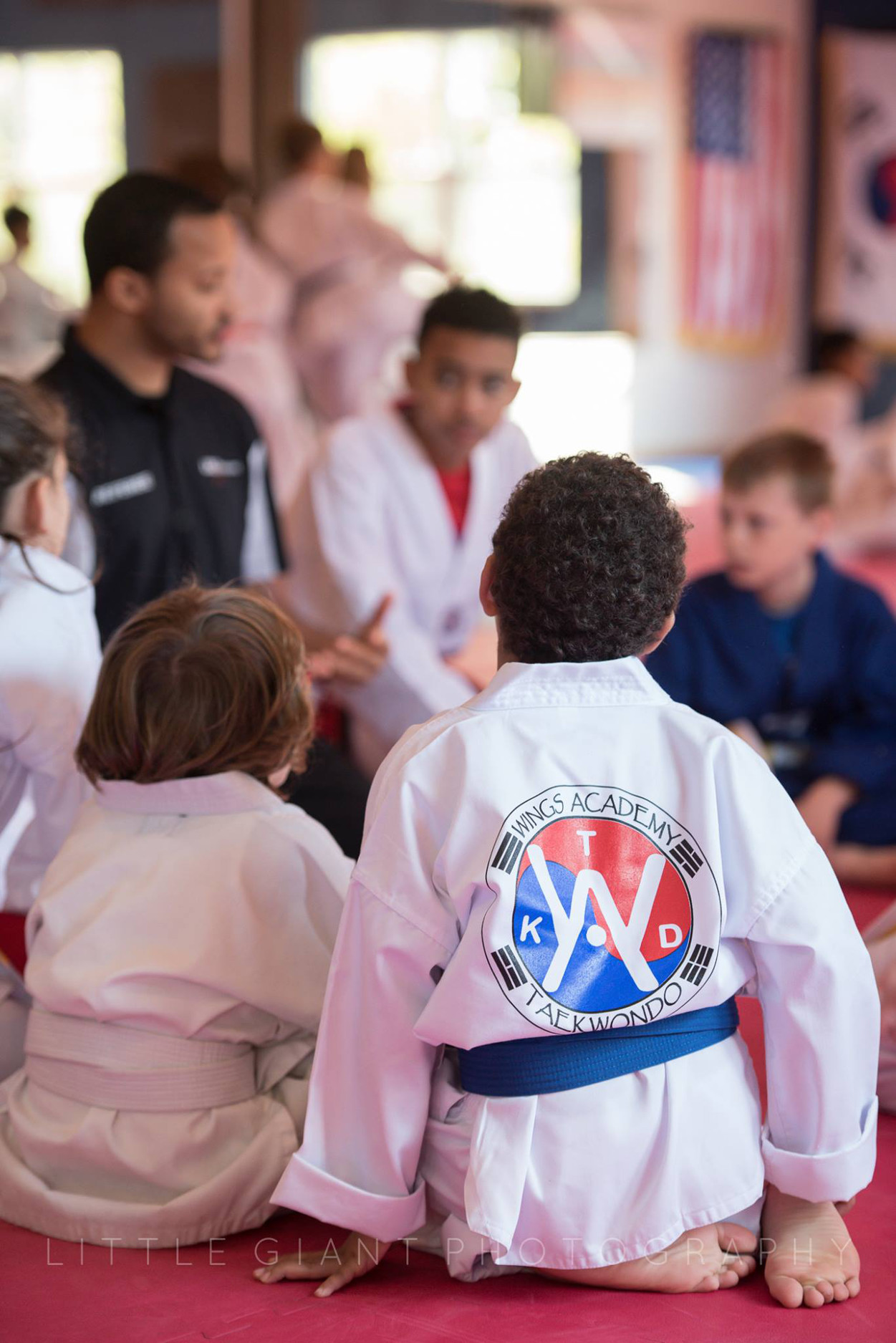 Wings Academy Taekwondo Offers image