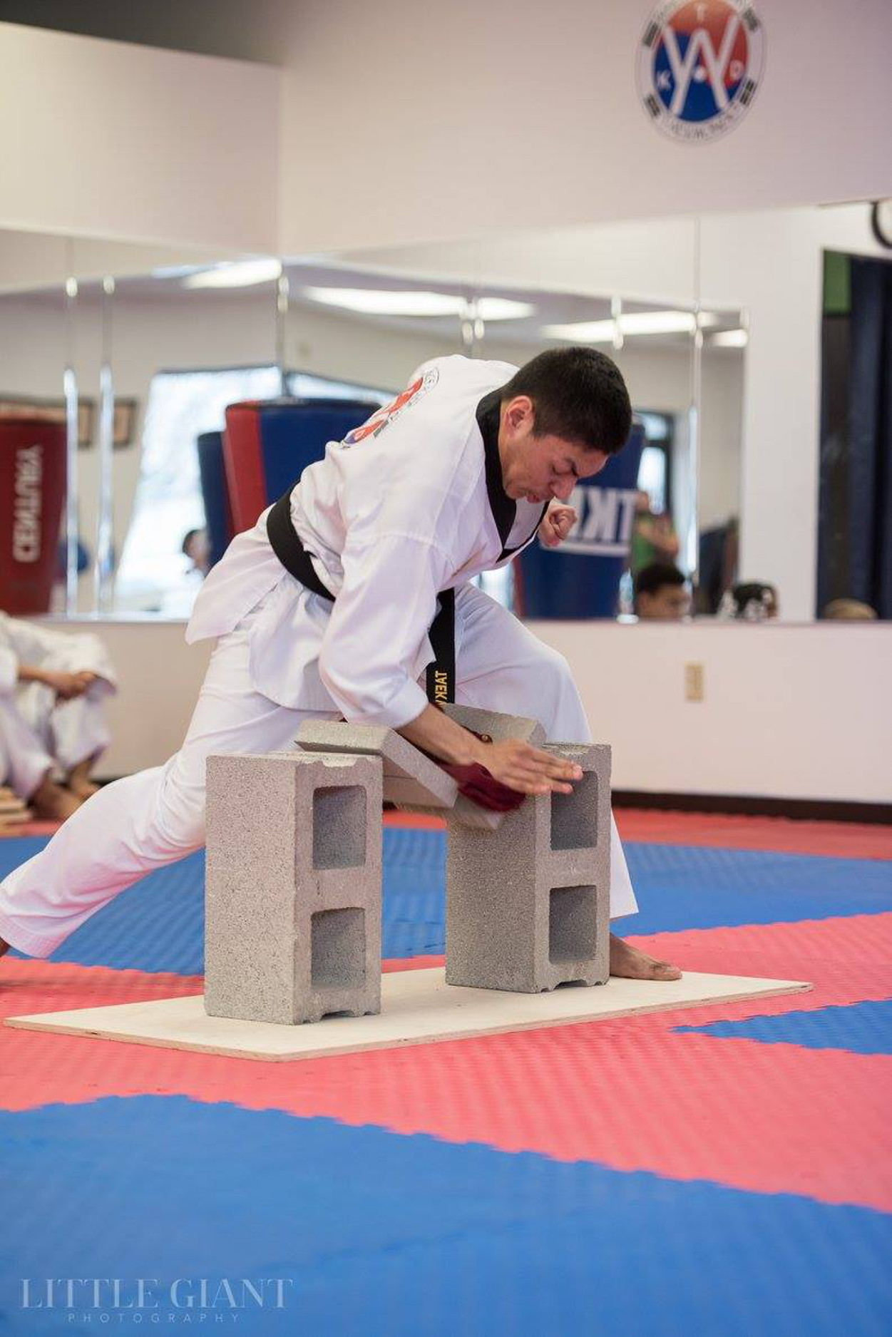 Wings Academy Taekwondo Special Offers